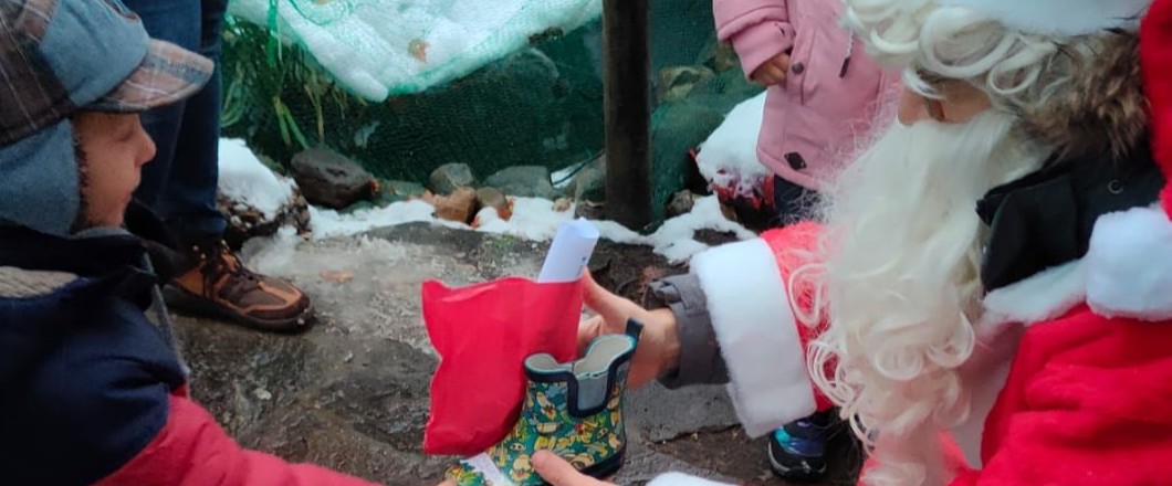 Bild: „Nikolausi - Fest rund um den Schnullerbaum“ am 6. Dezember